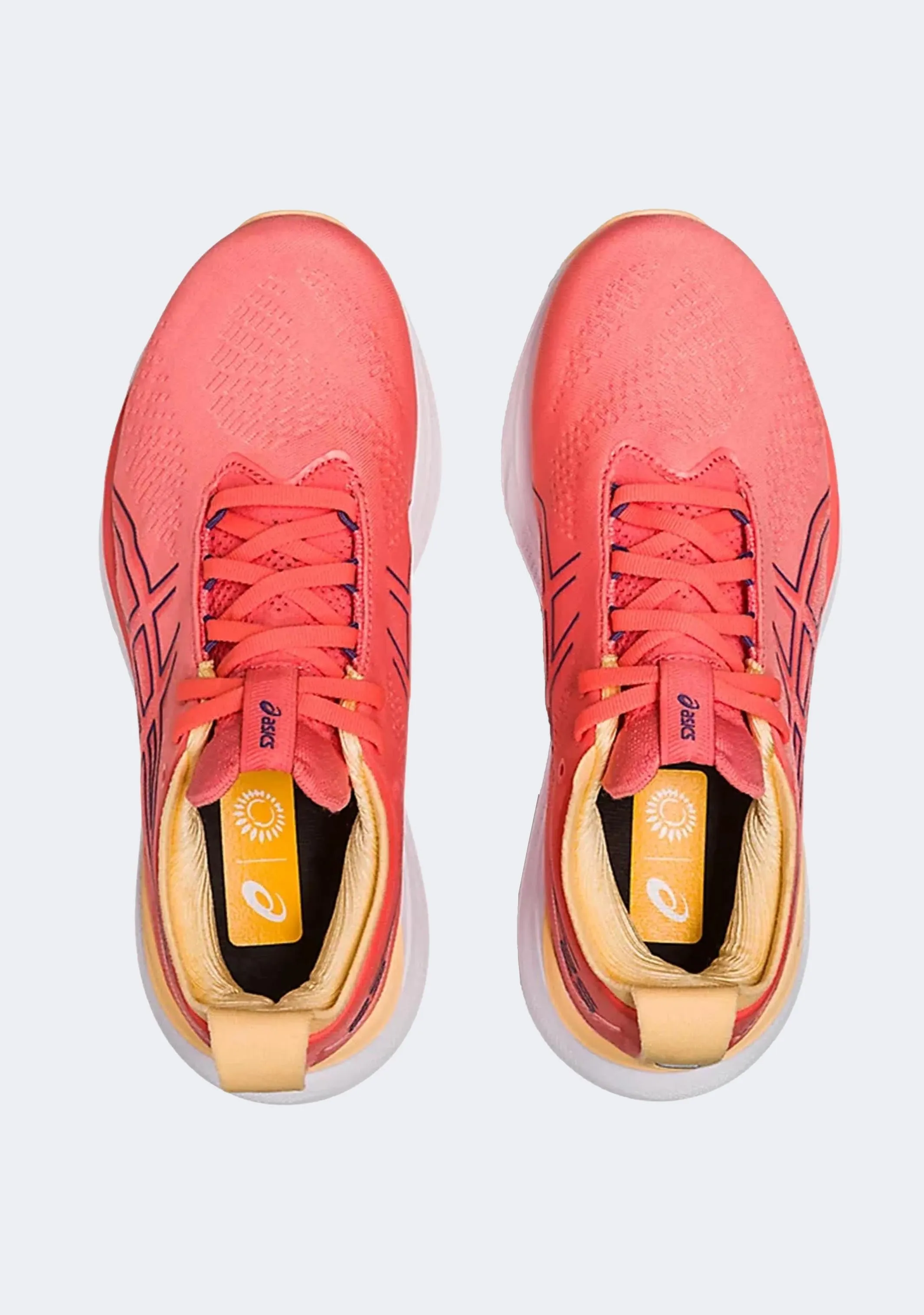 Asics Women's Gel Nimbus 25