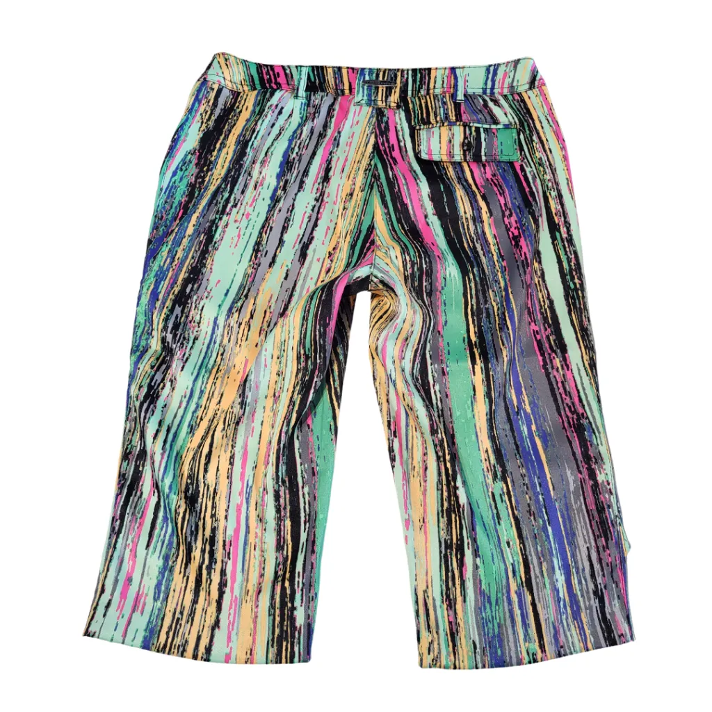 Jamie Sadock Women's Multicolored Vertical Glitch Print Shorts Size 4 MSP$120